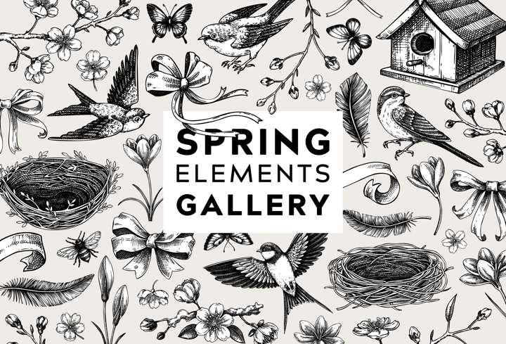 Hand-drawn spring background. Flying bird, sakura flower, bird house, bow and ribbon sketches. Easter vector illustrations. Vintage baroque frame design. NOT AI generated